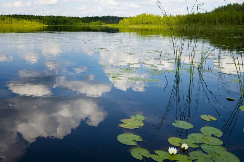 järvimaisema